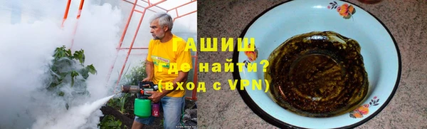 гашик Алексин