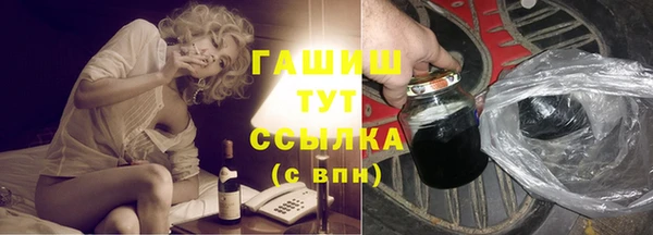 гашик Алексин
