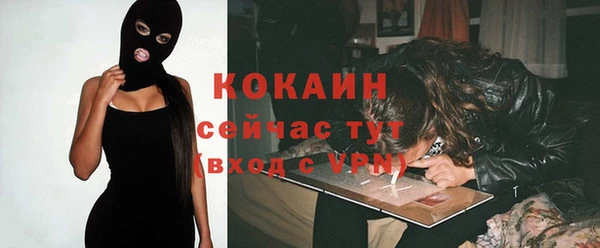 гашик Алексин