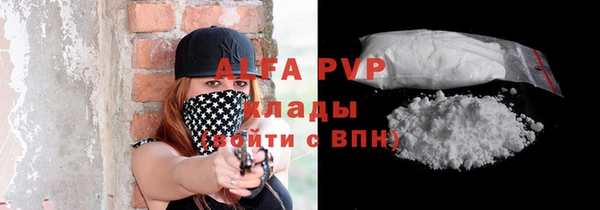 гашик Алексин