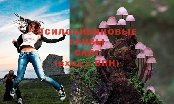 jwh Алзамай