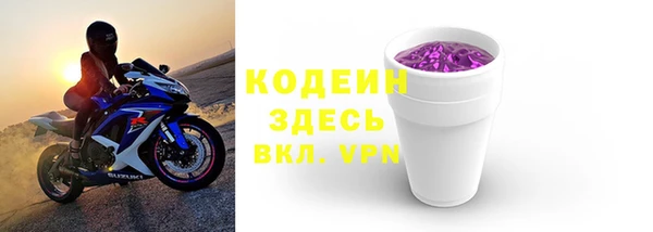 прущие грибы Михайловск
