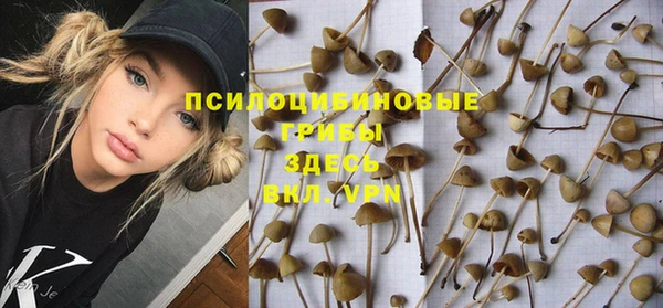 дурь Михайловка