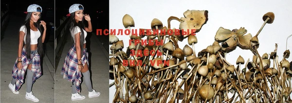 мдпв Абинск