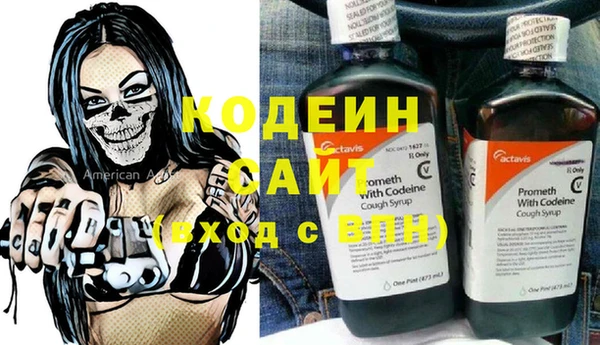 гашик Алексин